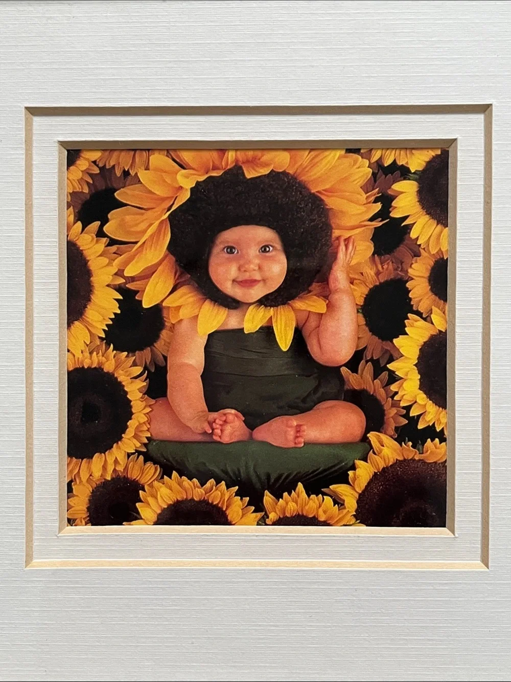 Anne Geddes anne geddes