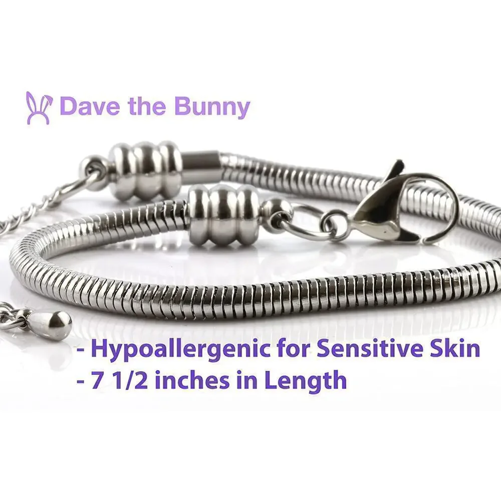 Dave The Bunny embrace spirit
