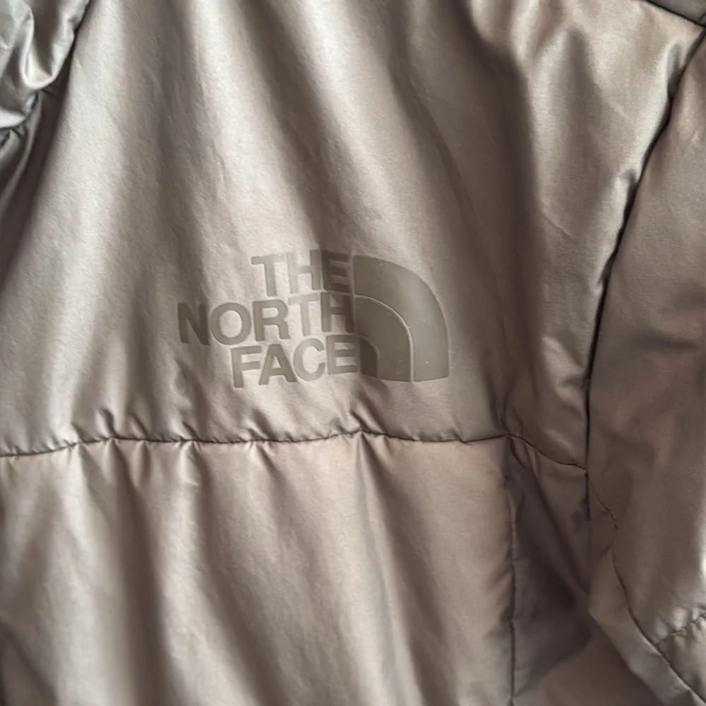 The North Face north face