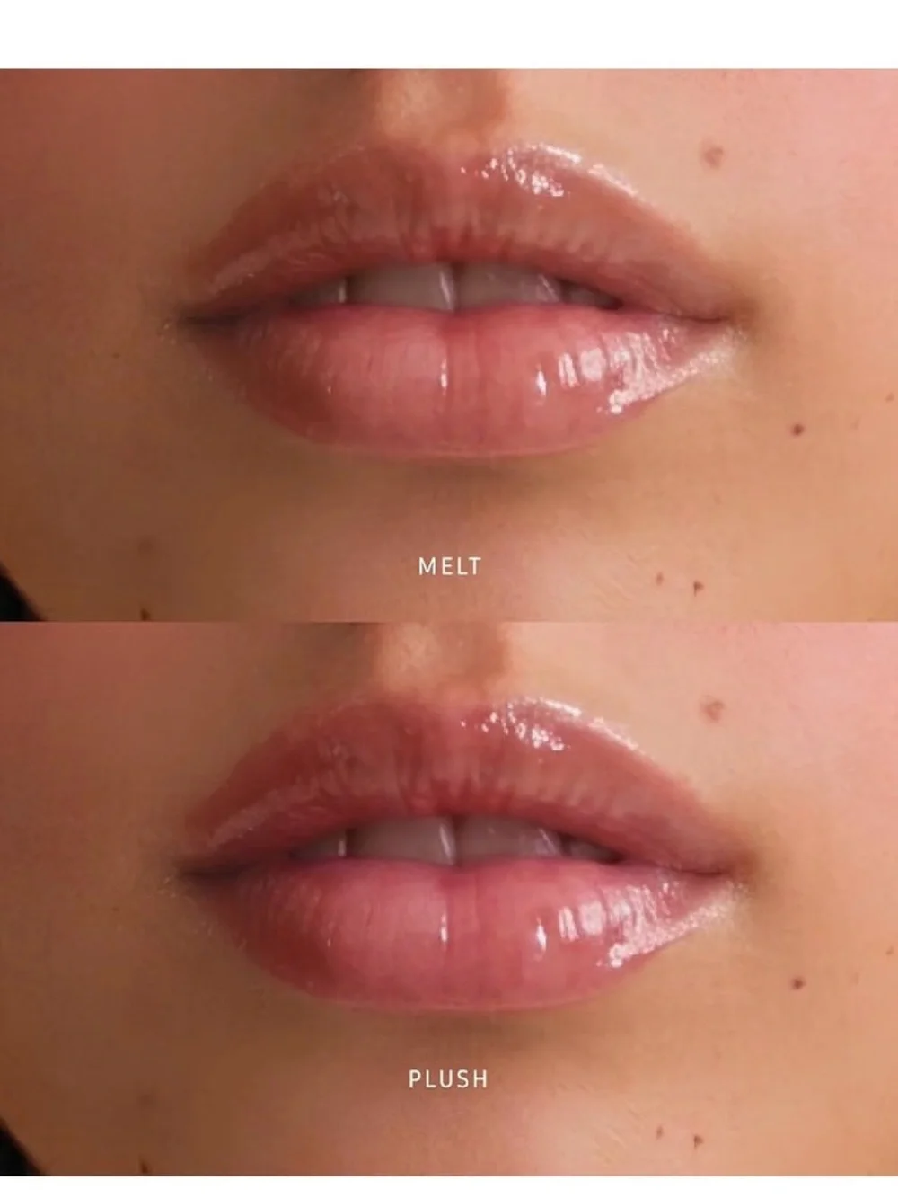 Lithe hydra gloss