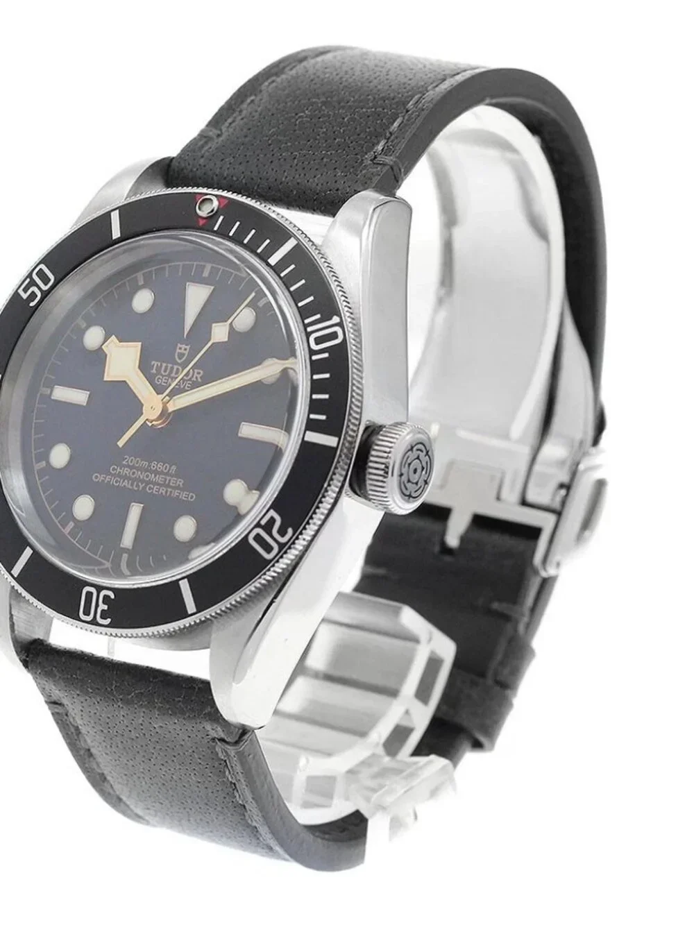 Tudor steel wrist