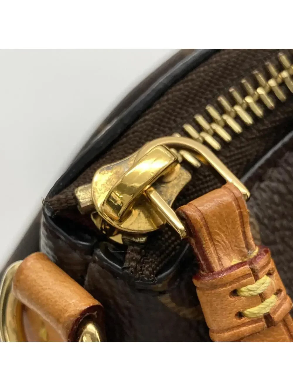 Louis Vuitton sophistication fashion
