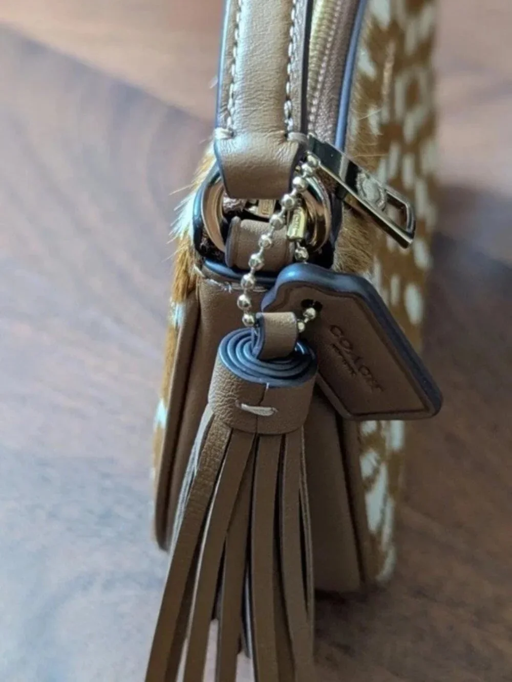Coach nolita 19
