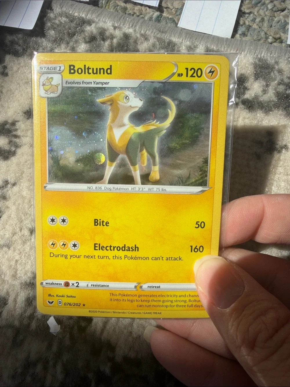 Pokemon collection knockout sealed