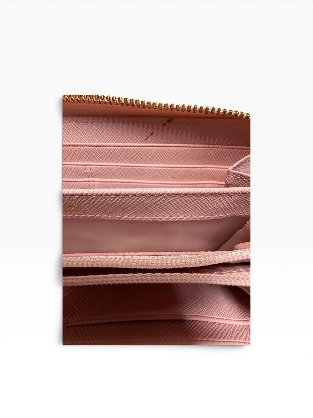 Coach blush pink