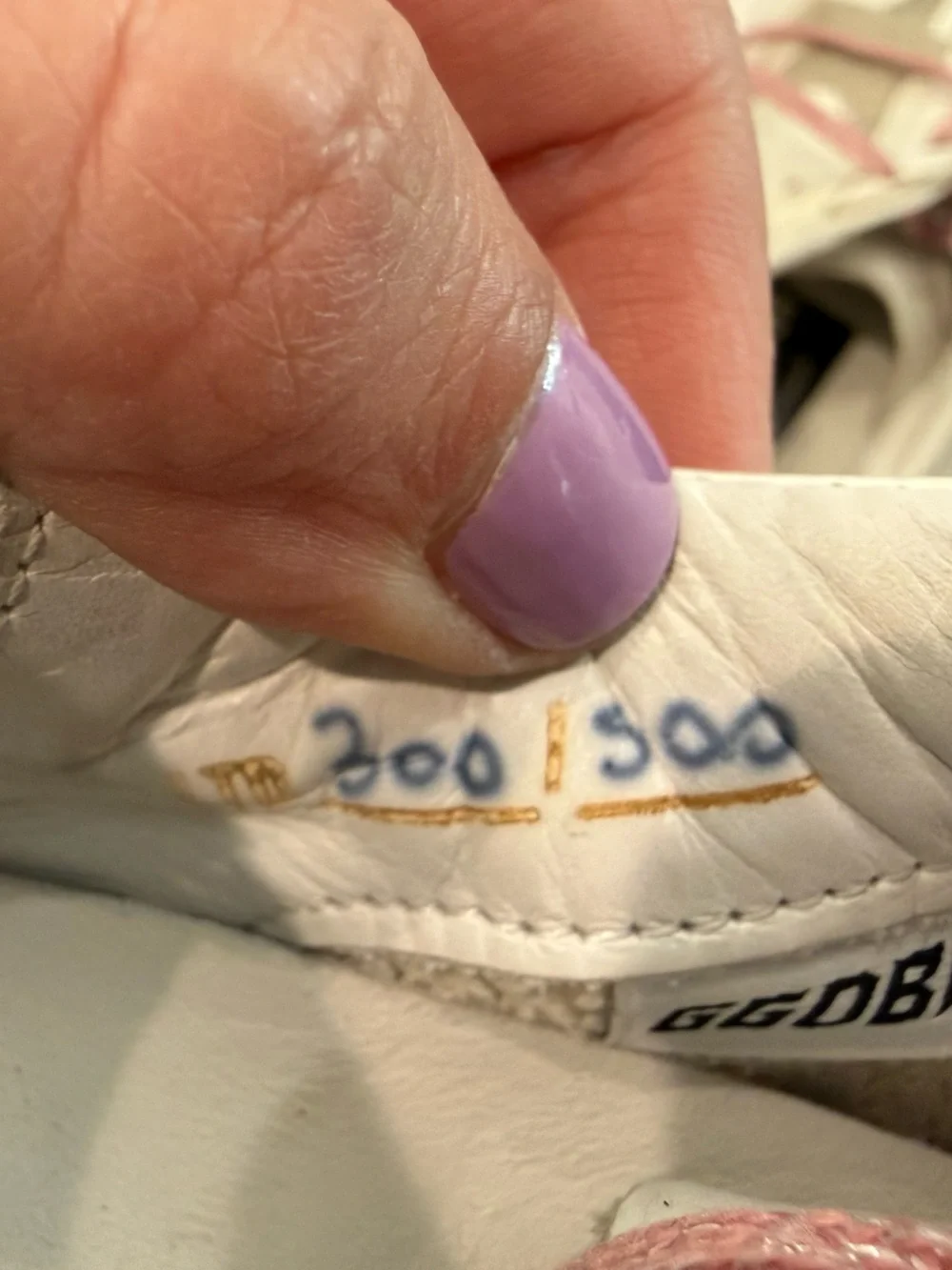 Golden Goose golden goose