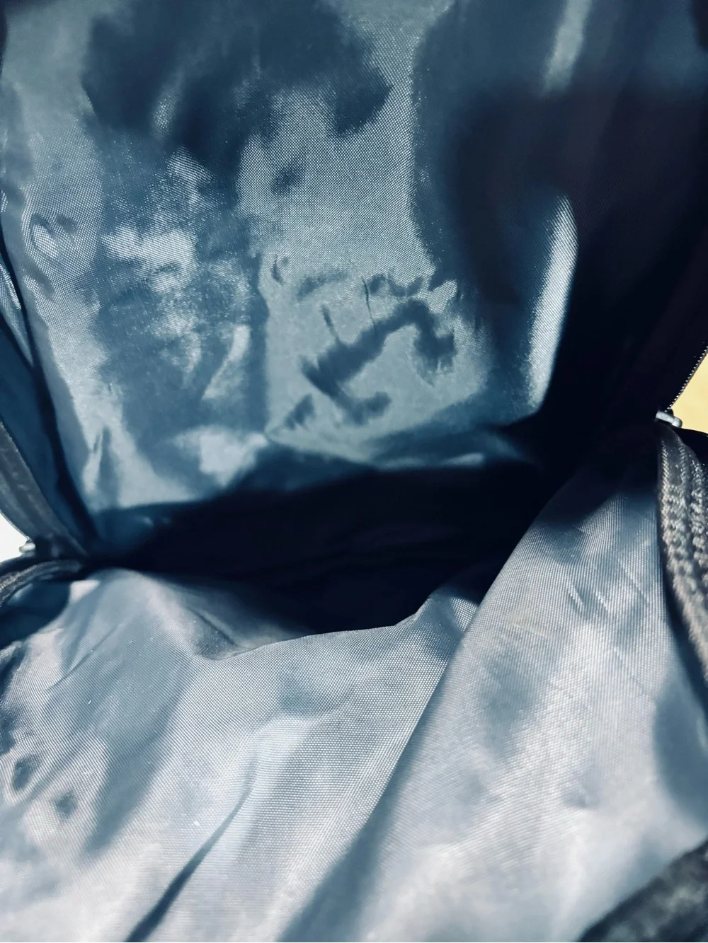 Victorinox durable backpack