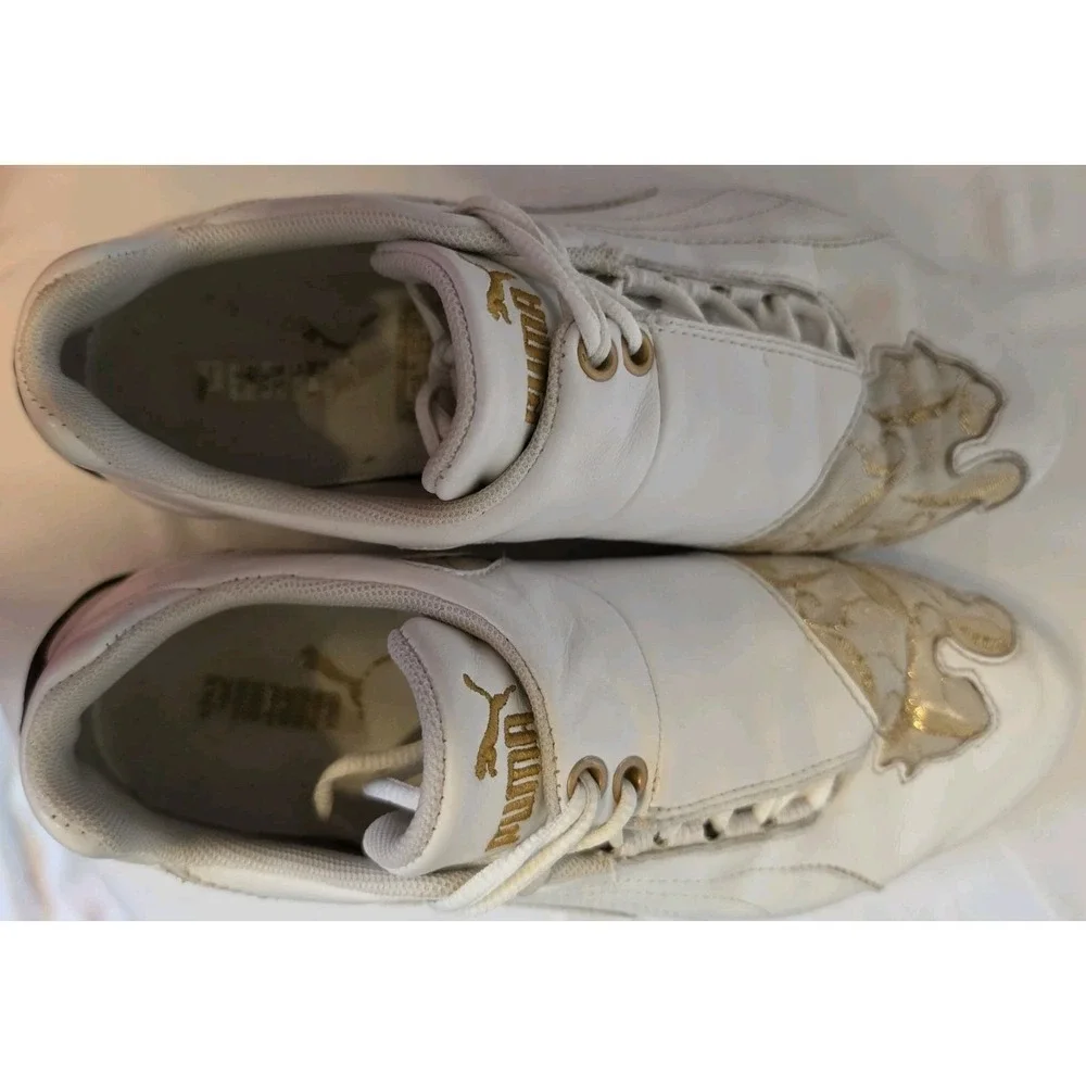 Puma speed cat