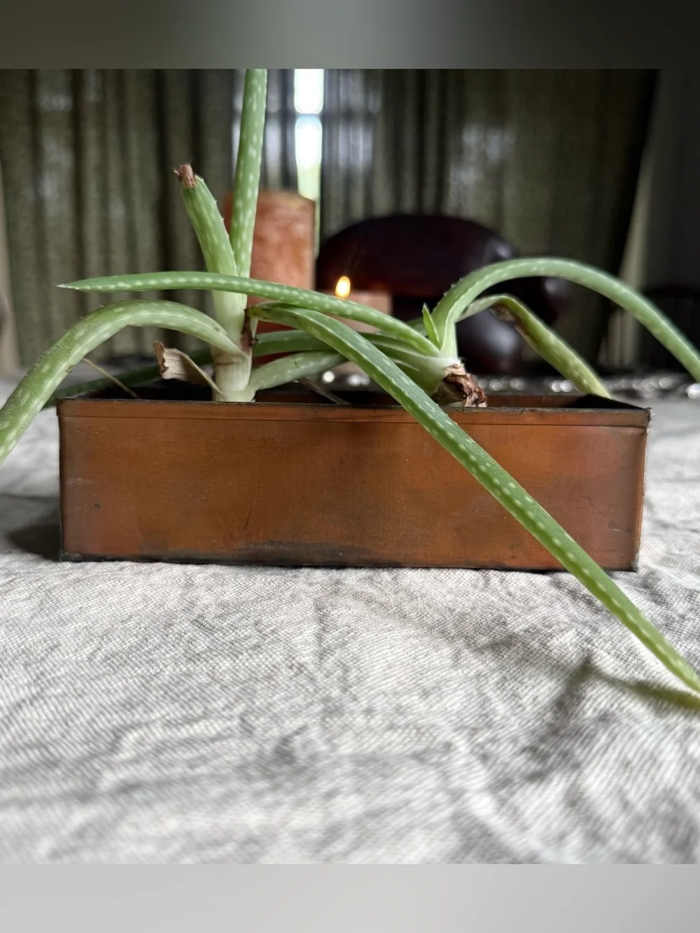 Vintage Copper Rectangular Succulent Planter