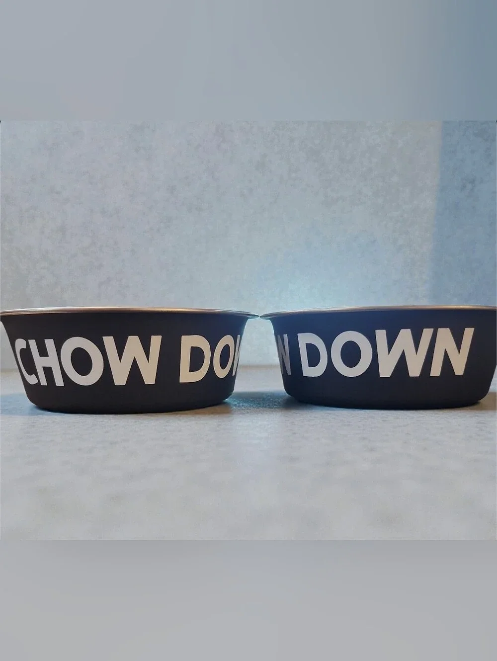 Pawsitively Fun set npet