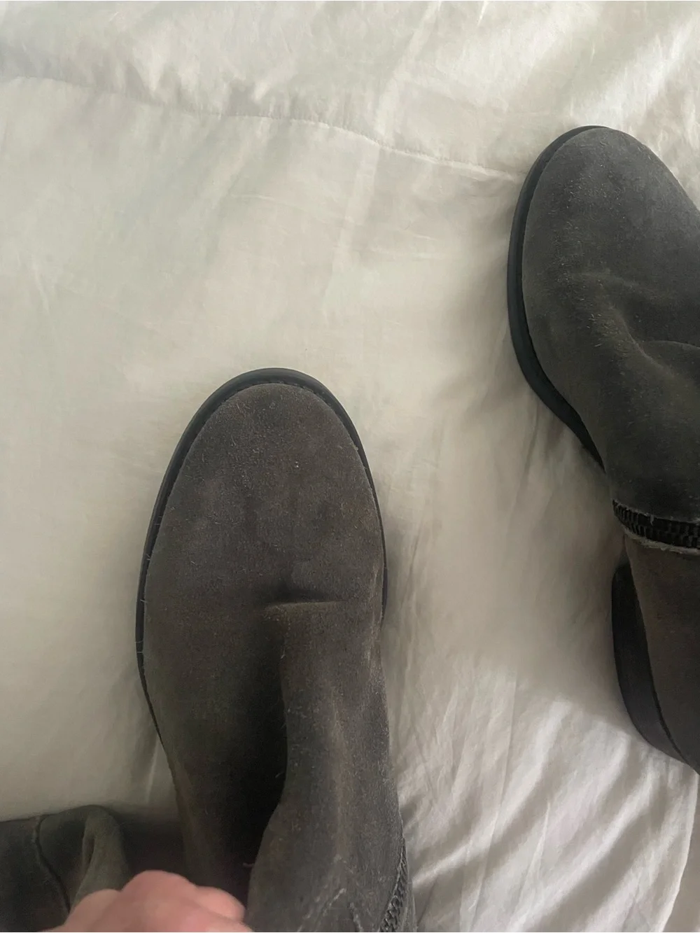 J. Crew grey suede