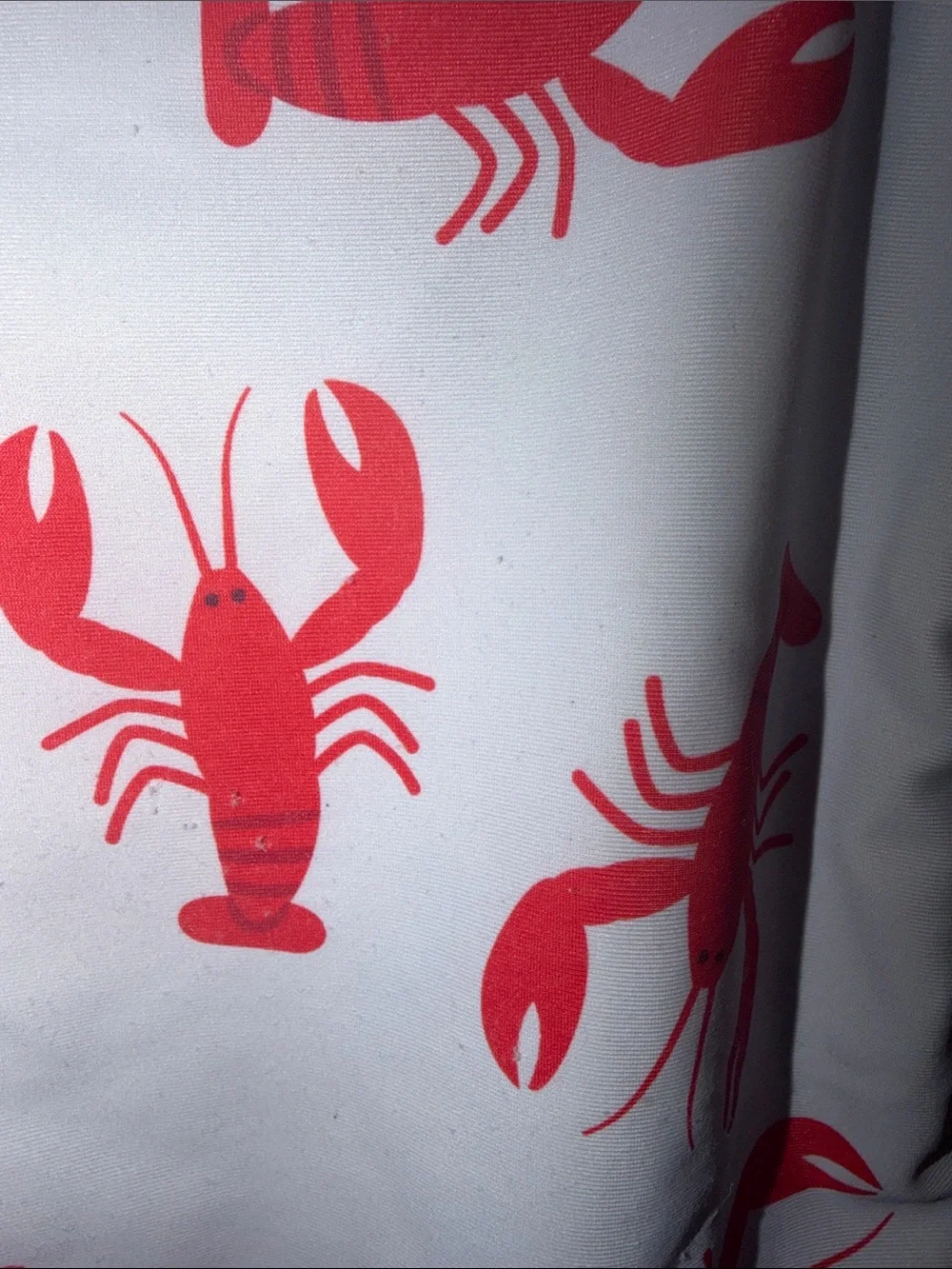 Sugar Bee Clothing playful white