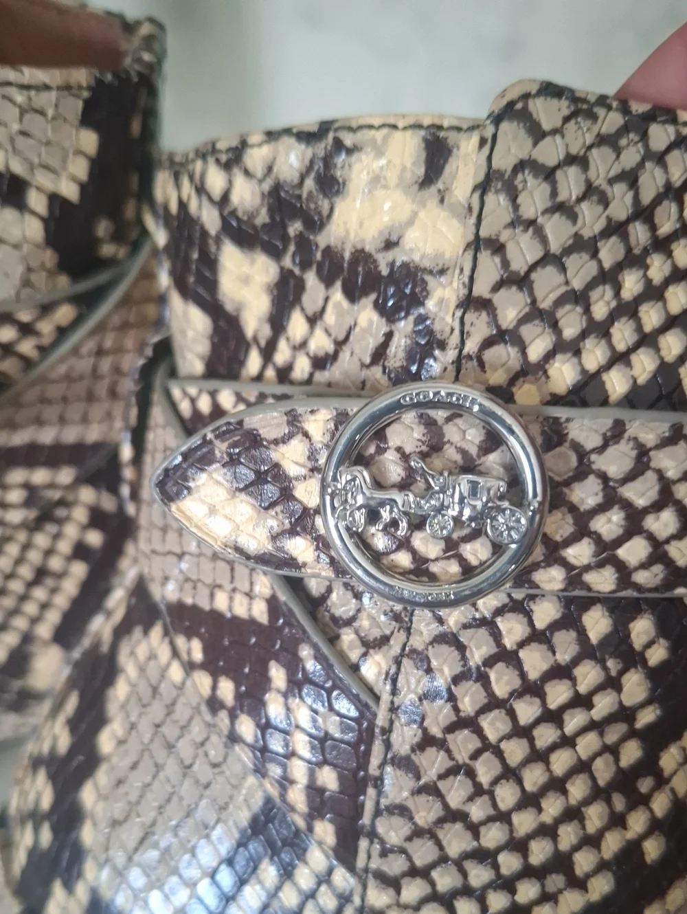 Coach stylish snake