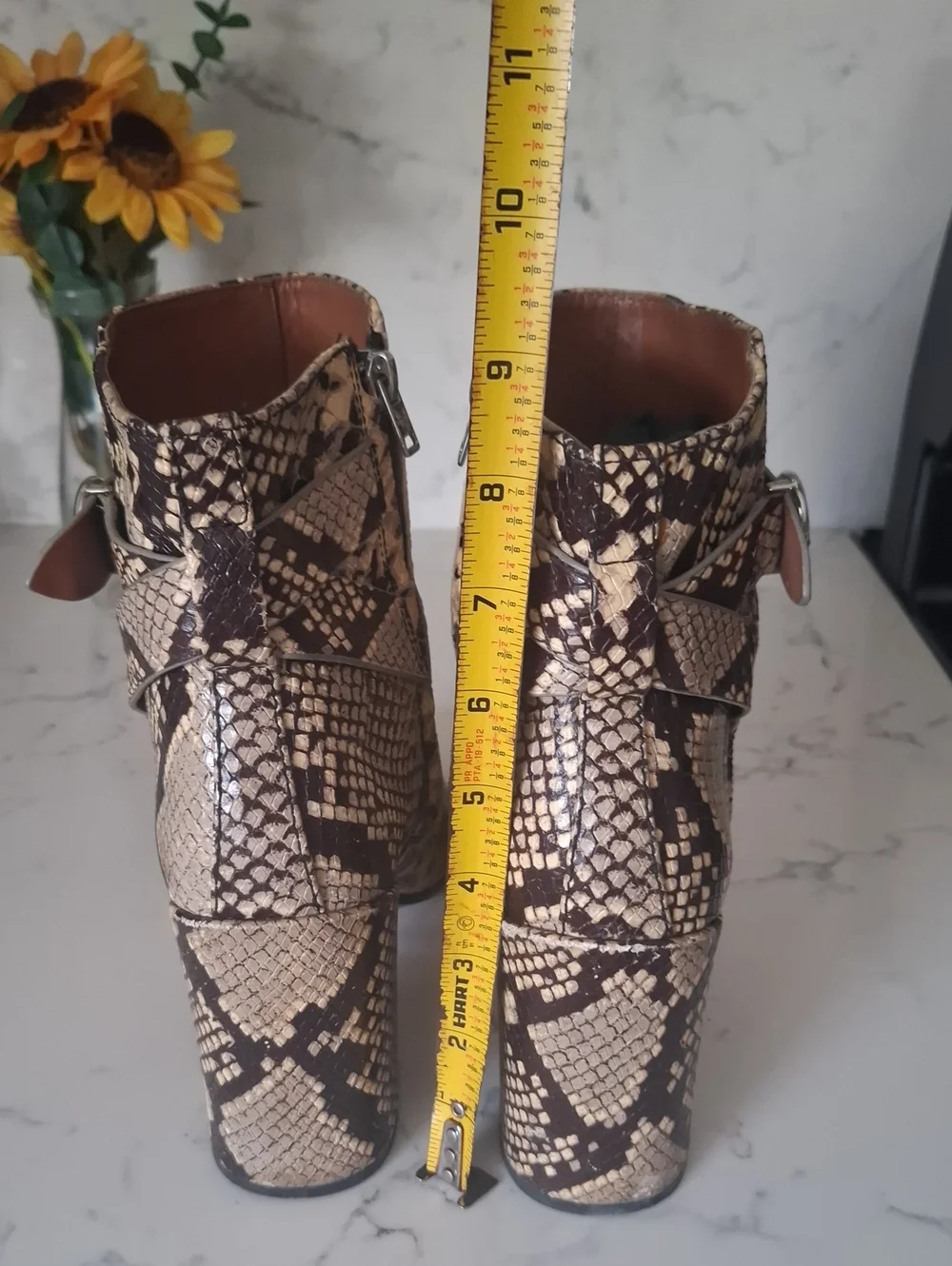 Coach stylish snake