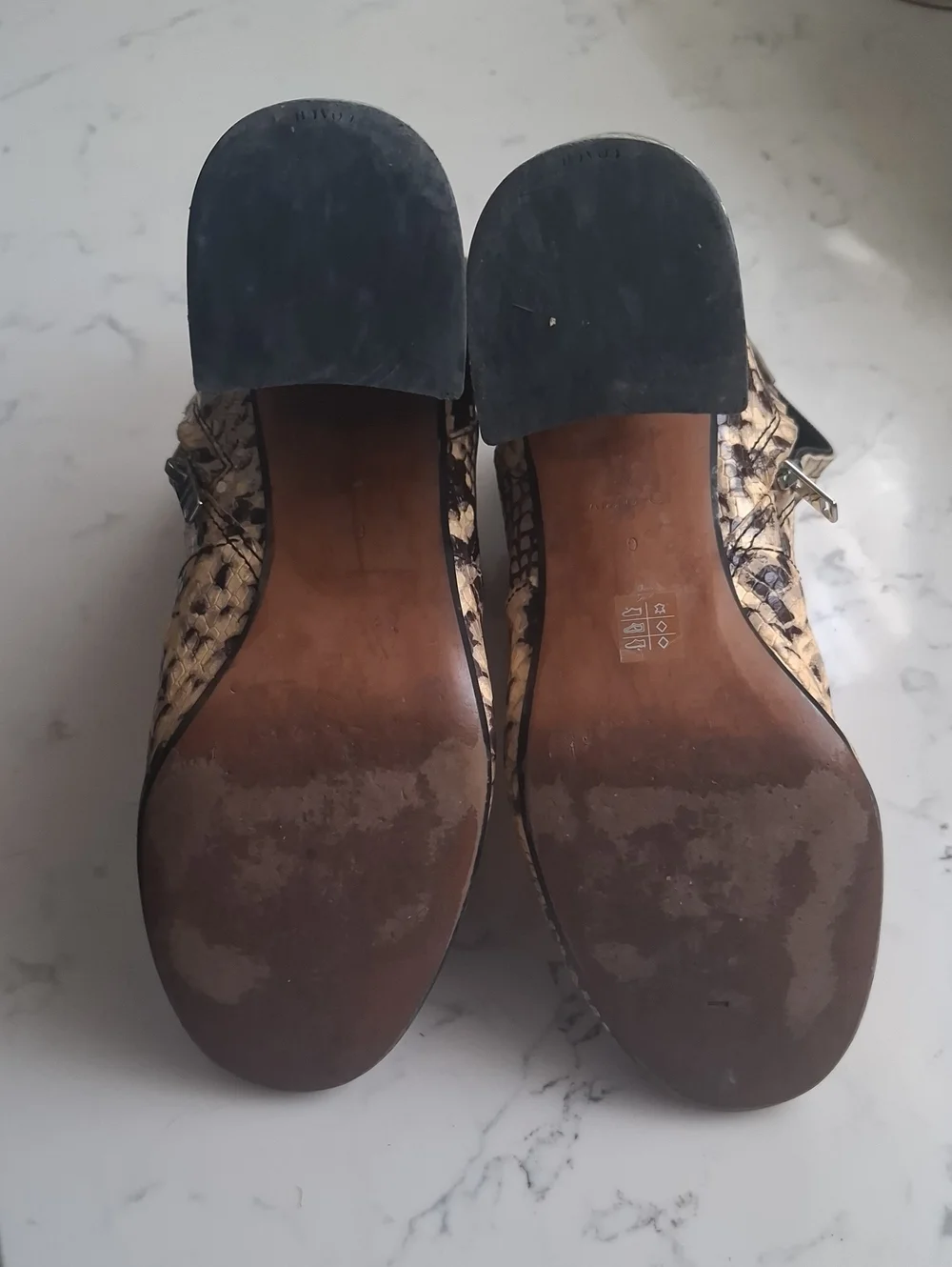 Coach stylish snake