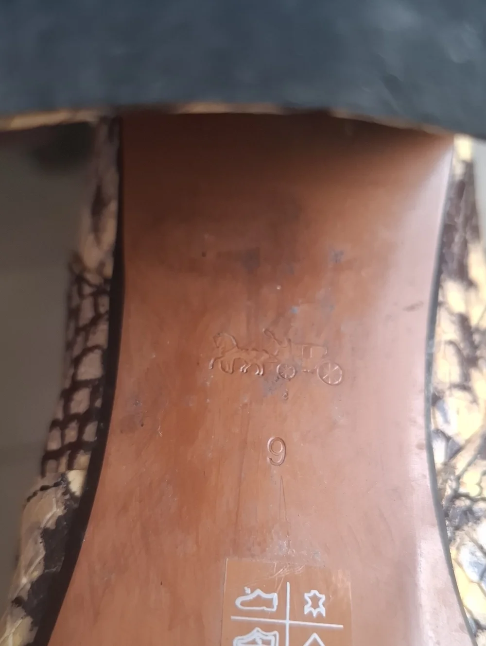 Coach stylish snake