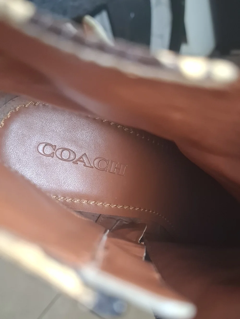 Coach stylish snake
