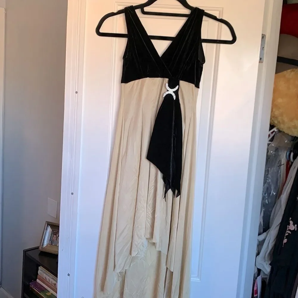 Black Velvet and Champagne Lyrical Dress