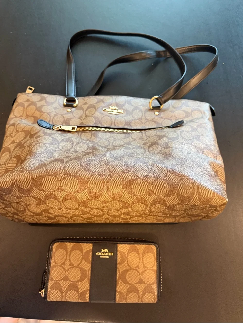 Coach tote signature