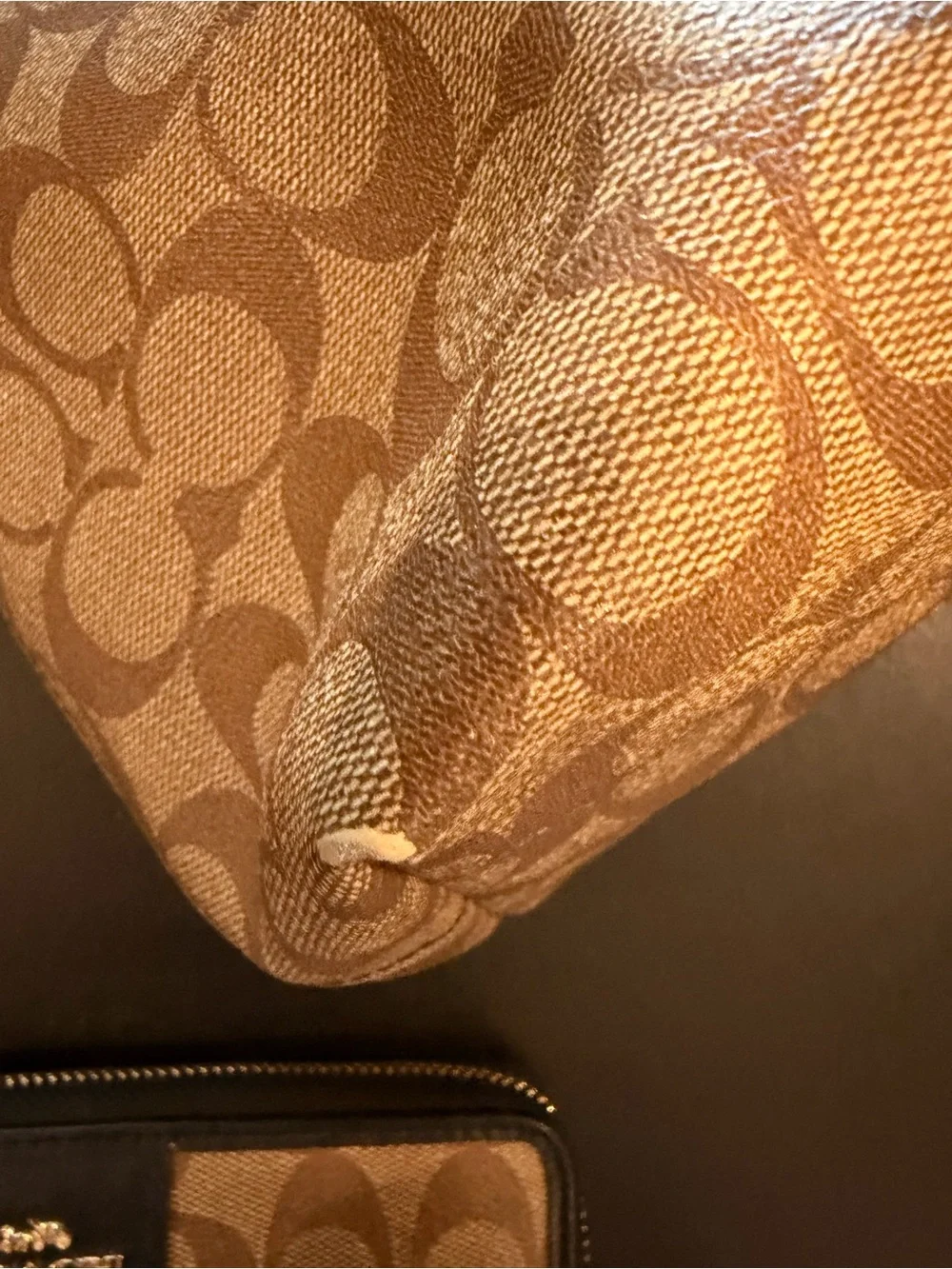 Coach tote signature