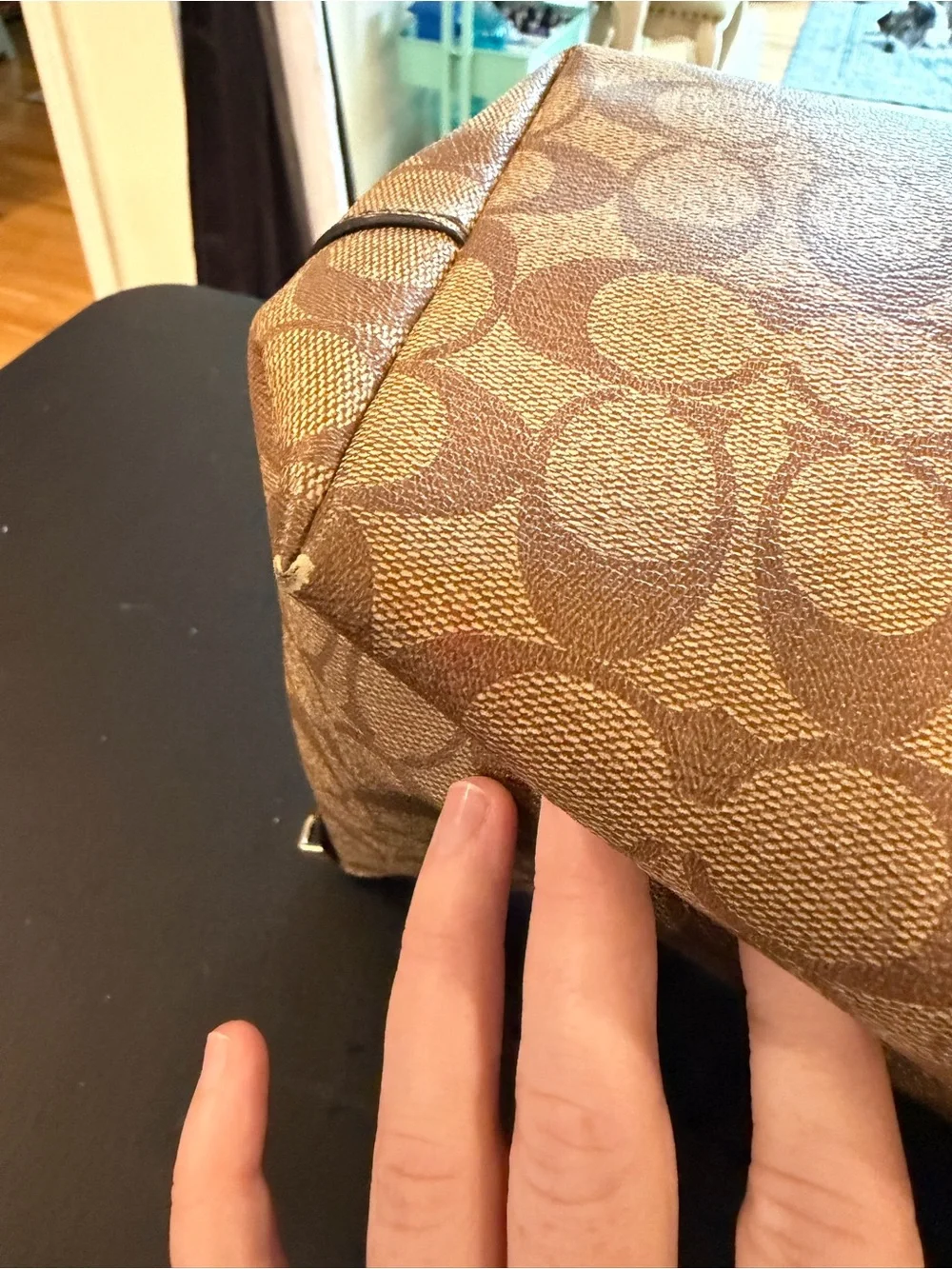 Coach tote signature