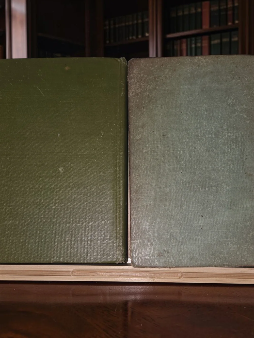 Antique Books lily mordaunt