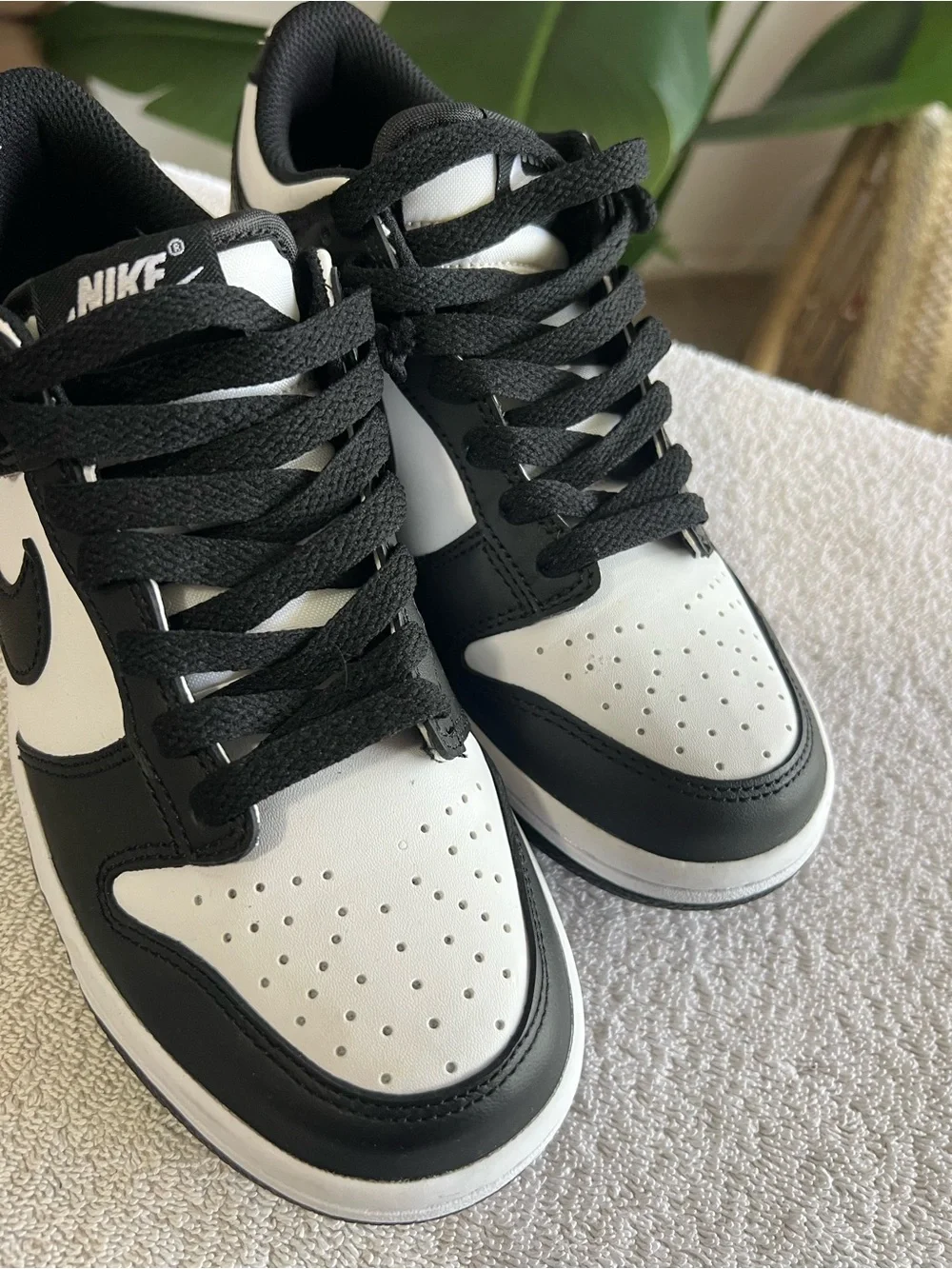 Nike classic low