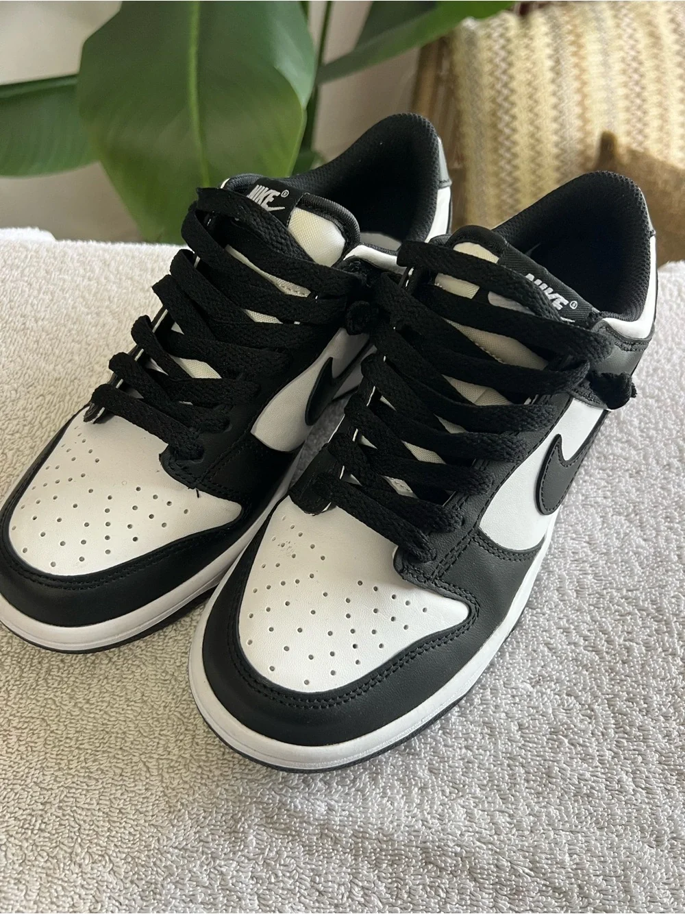 Nike classic low