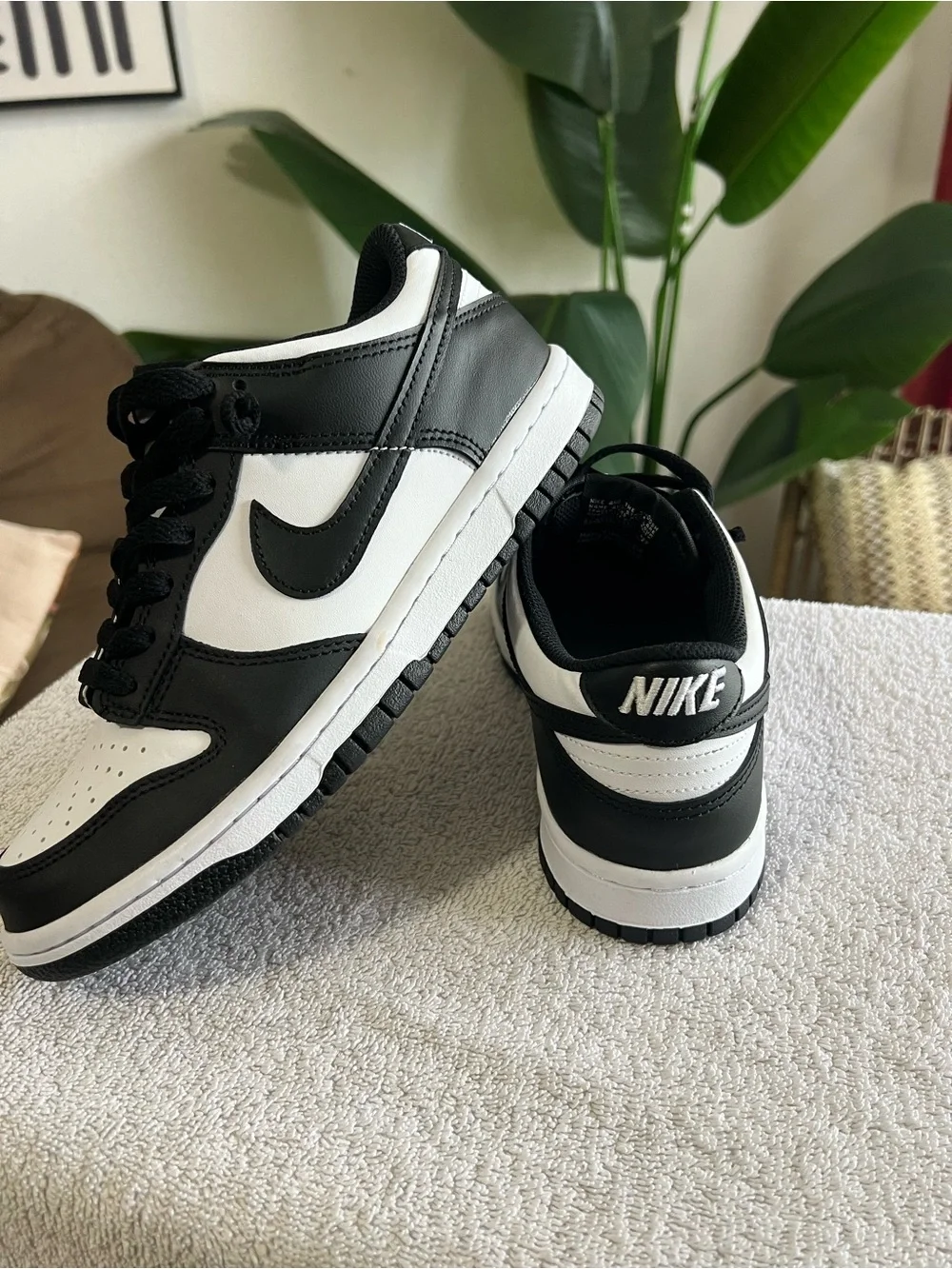 Nike classic low