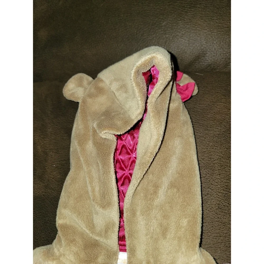 Gymboree 2t ears