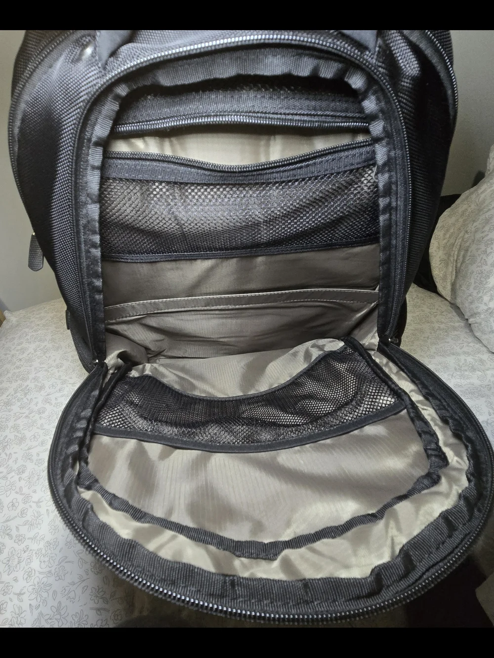 Targus professional backpack