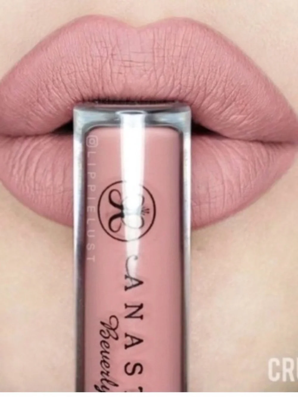 Anastasia Beverly Hills anastasia crush