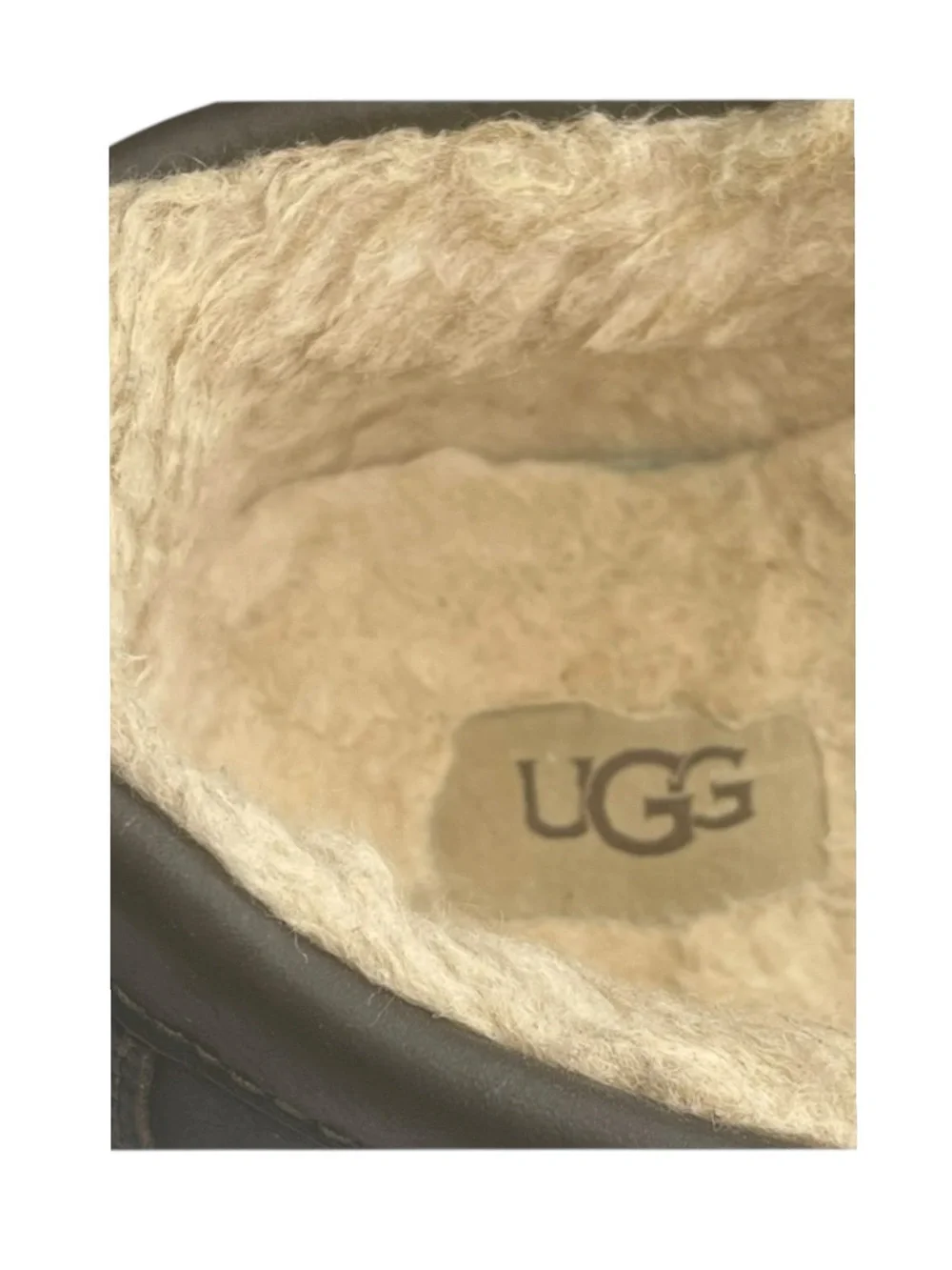 UGG ascot sherpa