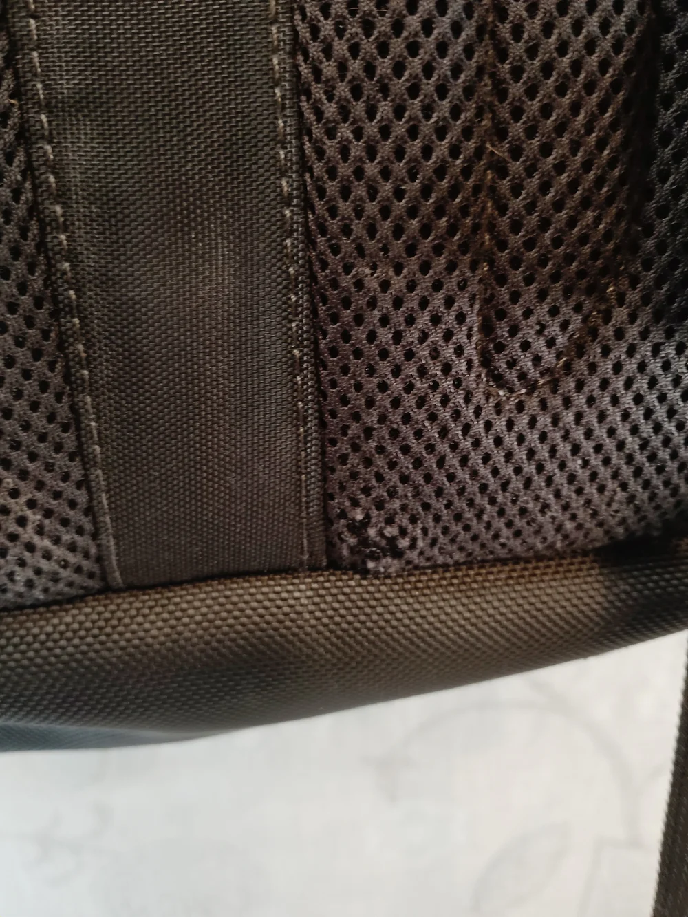 The North Face durable north