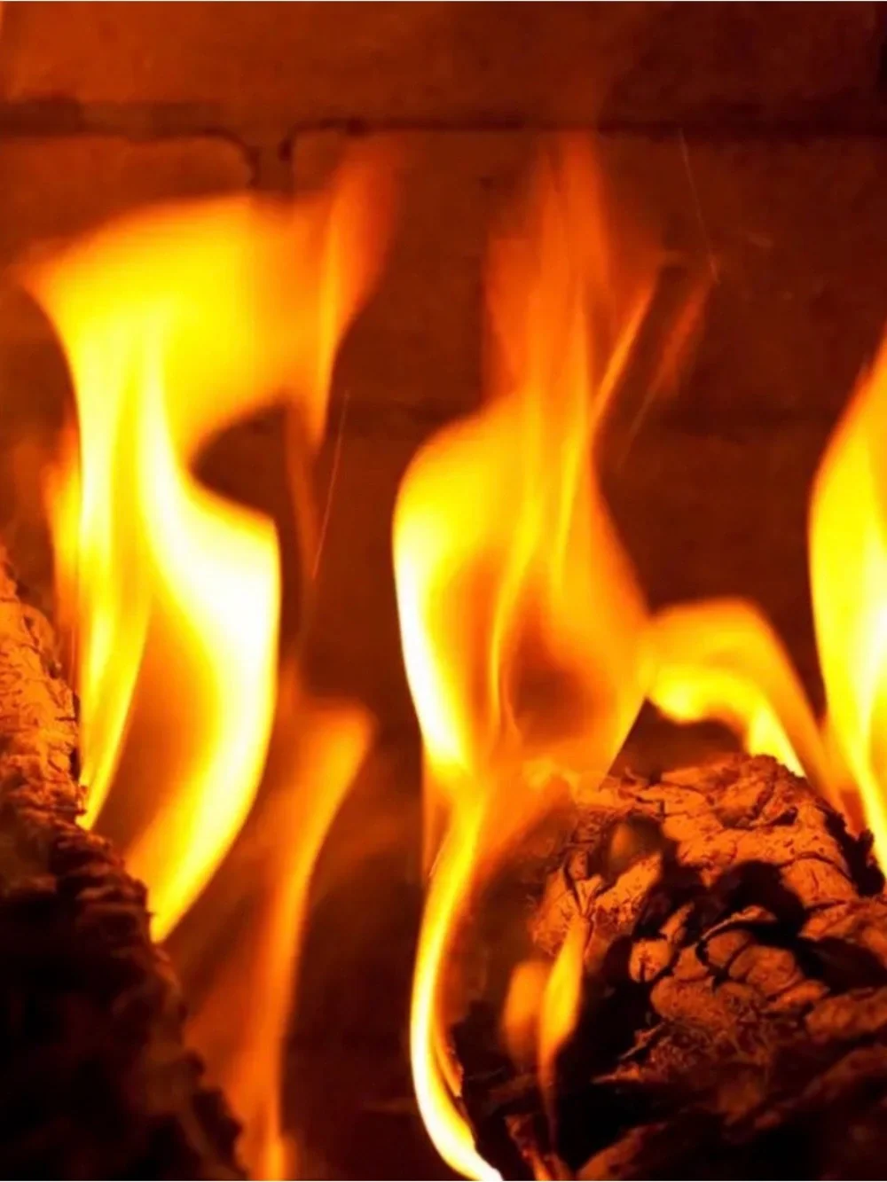 Handmade fireside soy