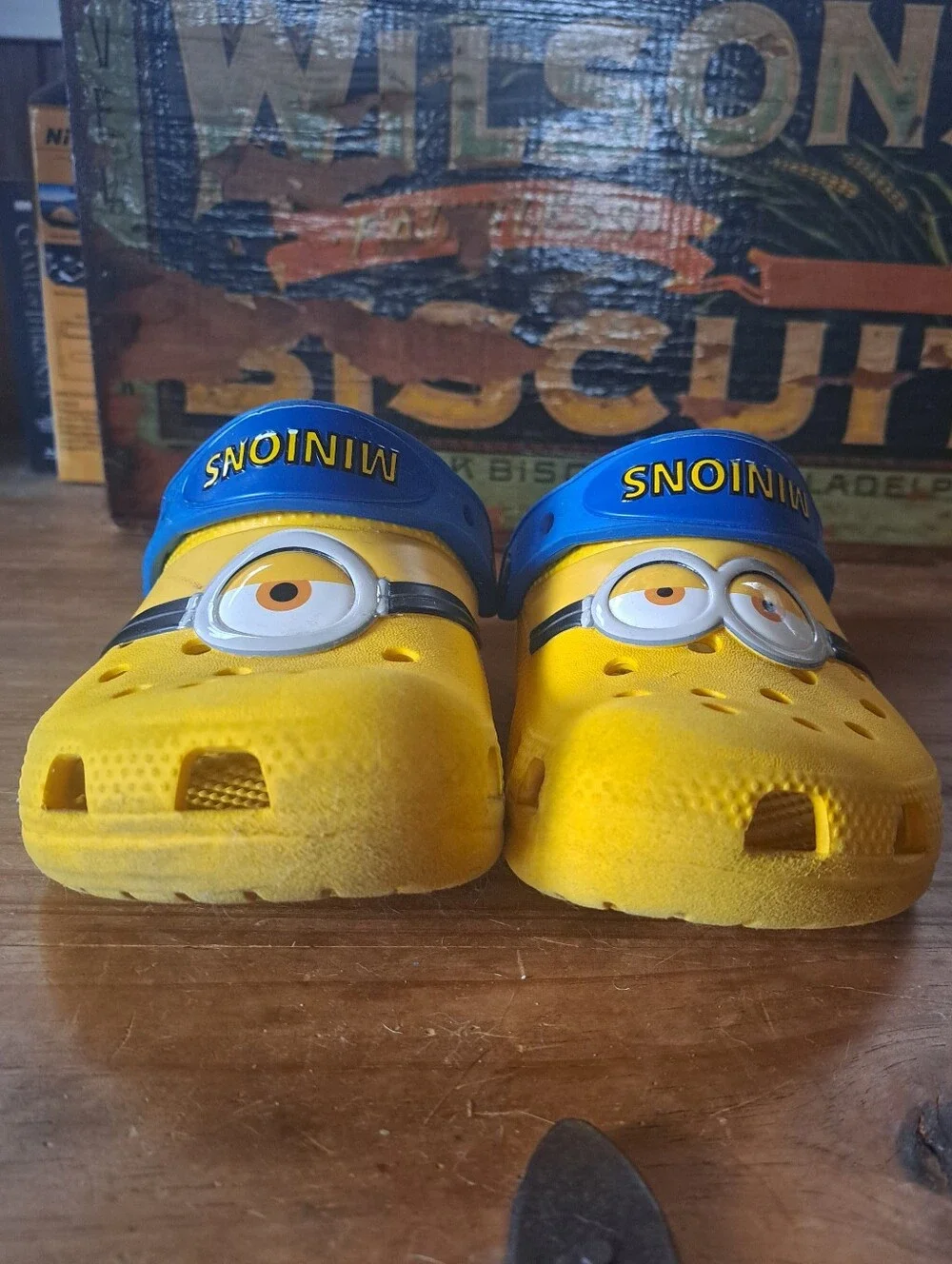 CROCS despicable me