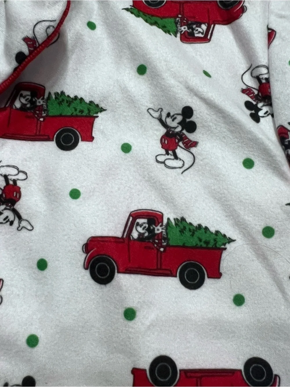 Disney review christmas matching