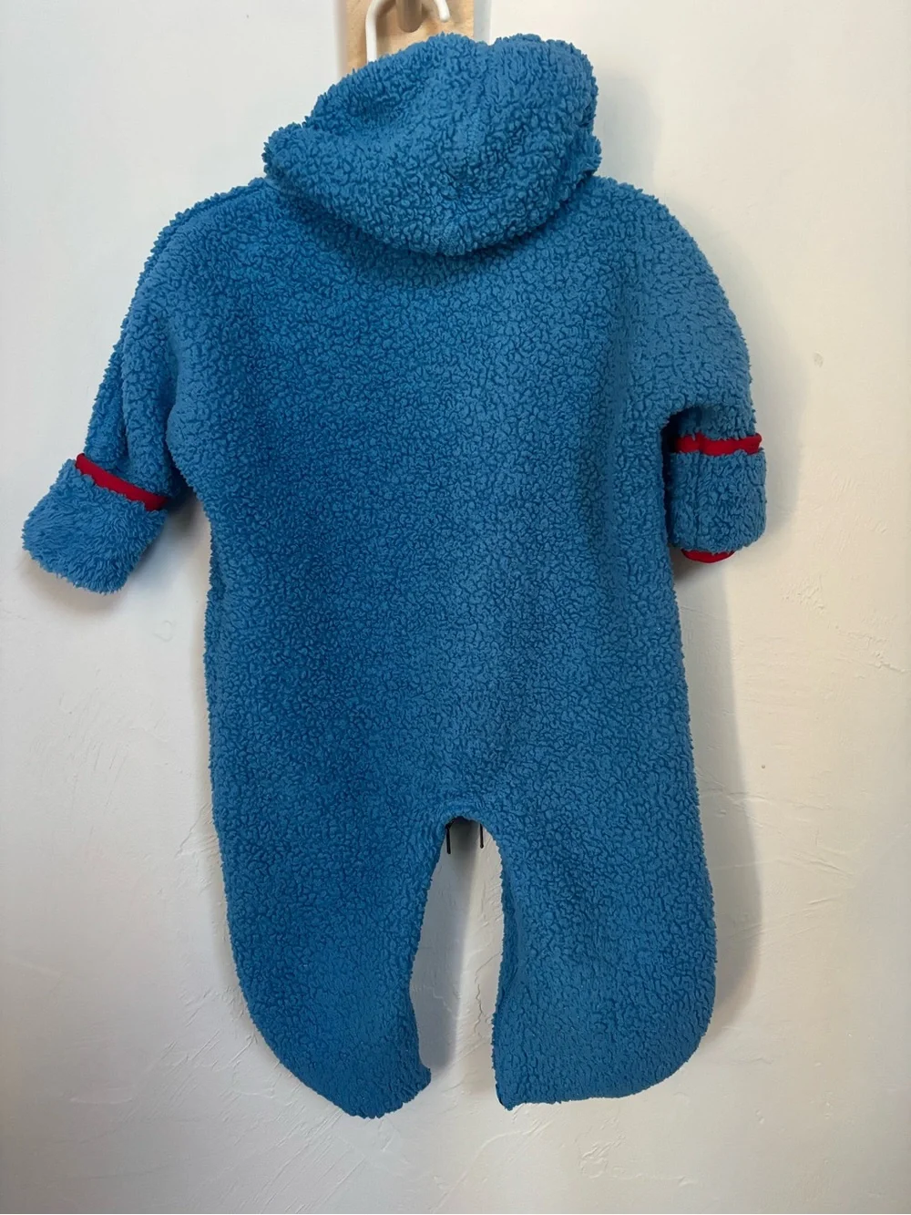 Patagonia fleece bunting