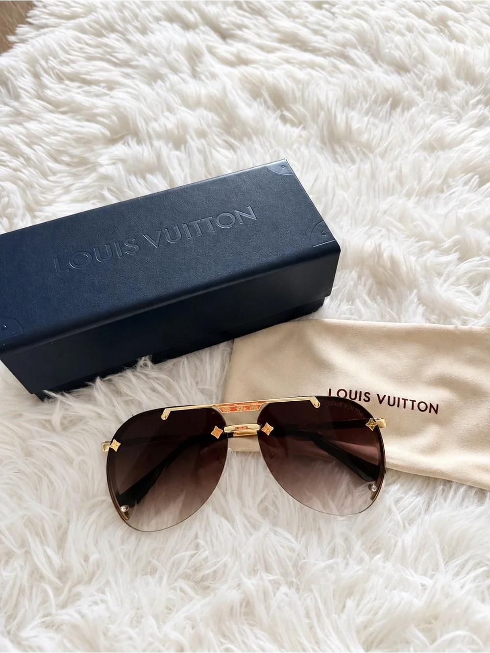 Louis Vuitton luxury louis