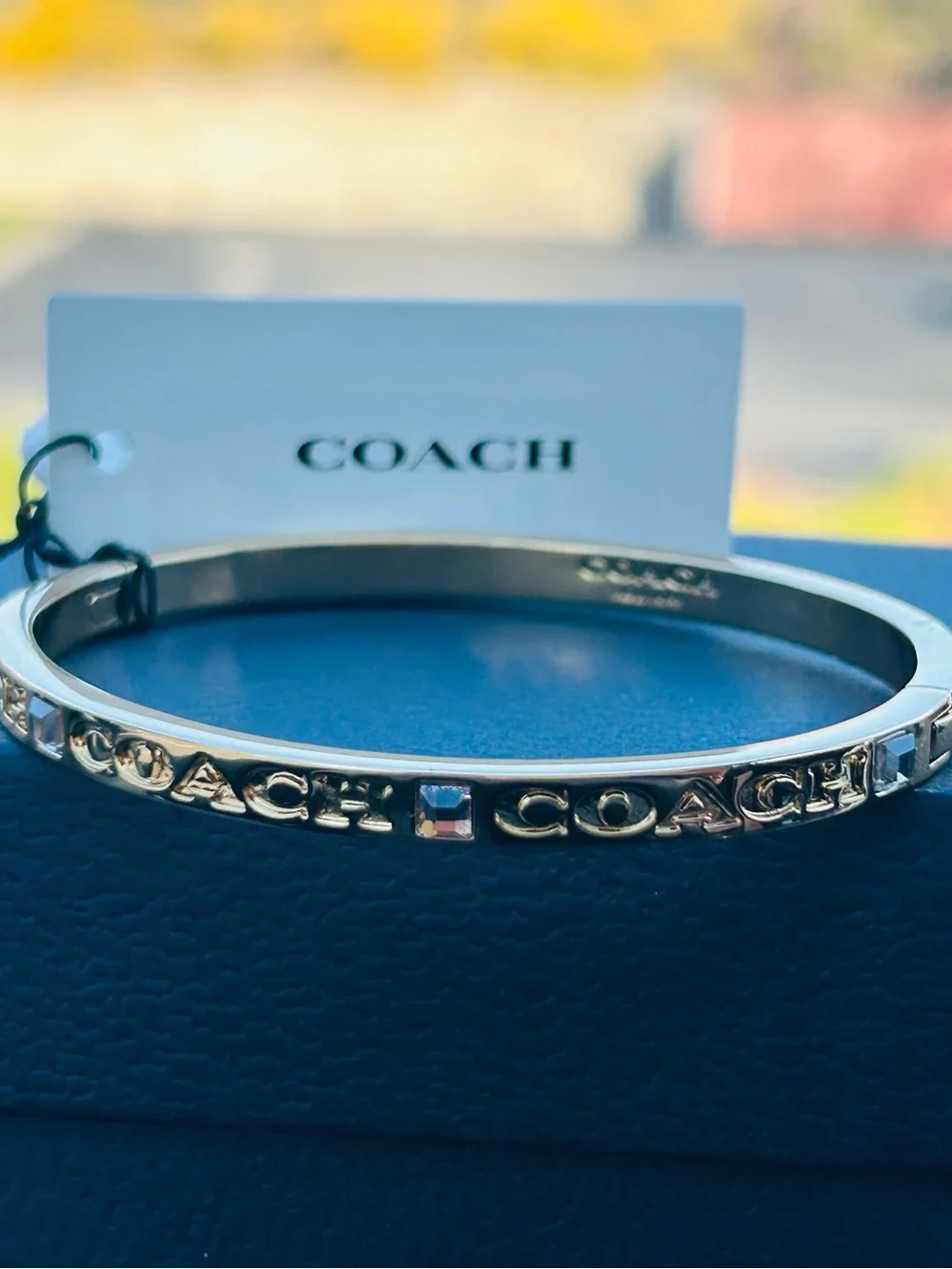 Coach sleek gold