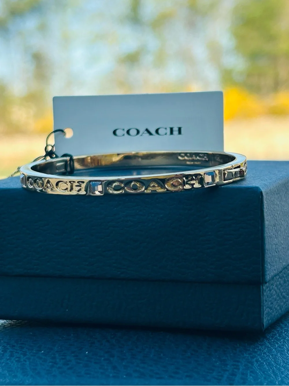 Coach sleek gold
