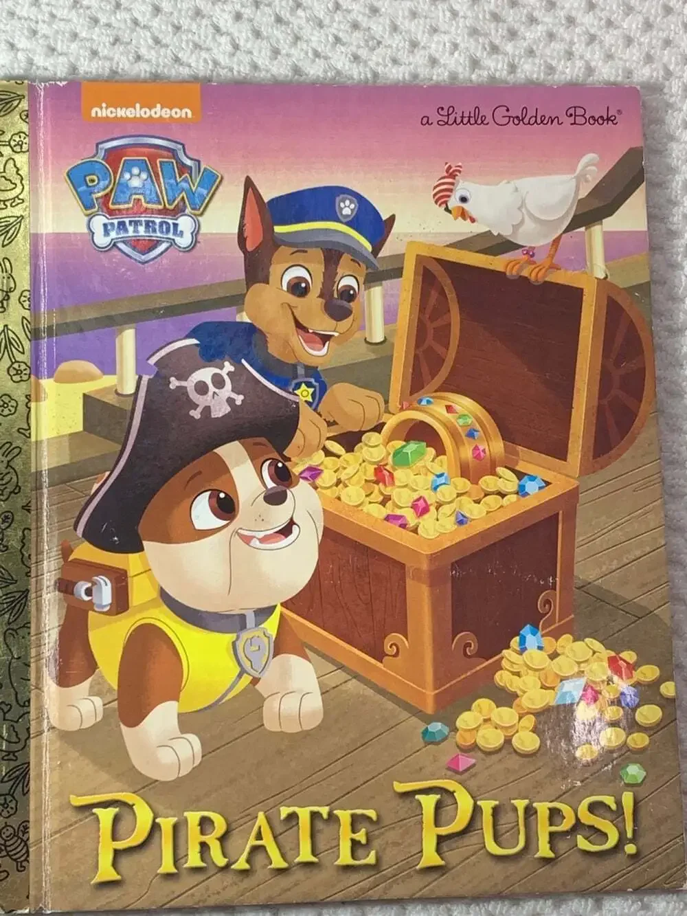 Paw Patrol Pirate Pups book