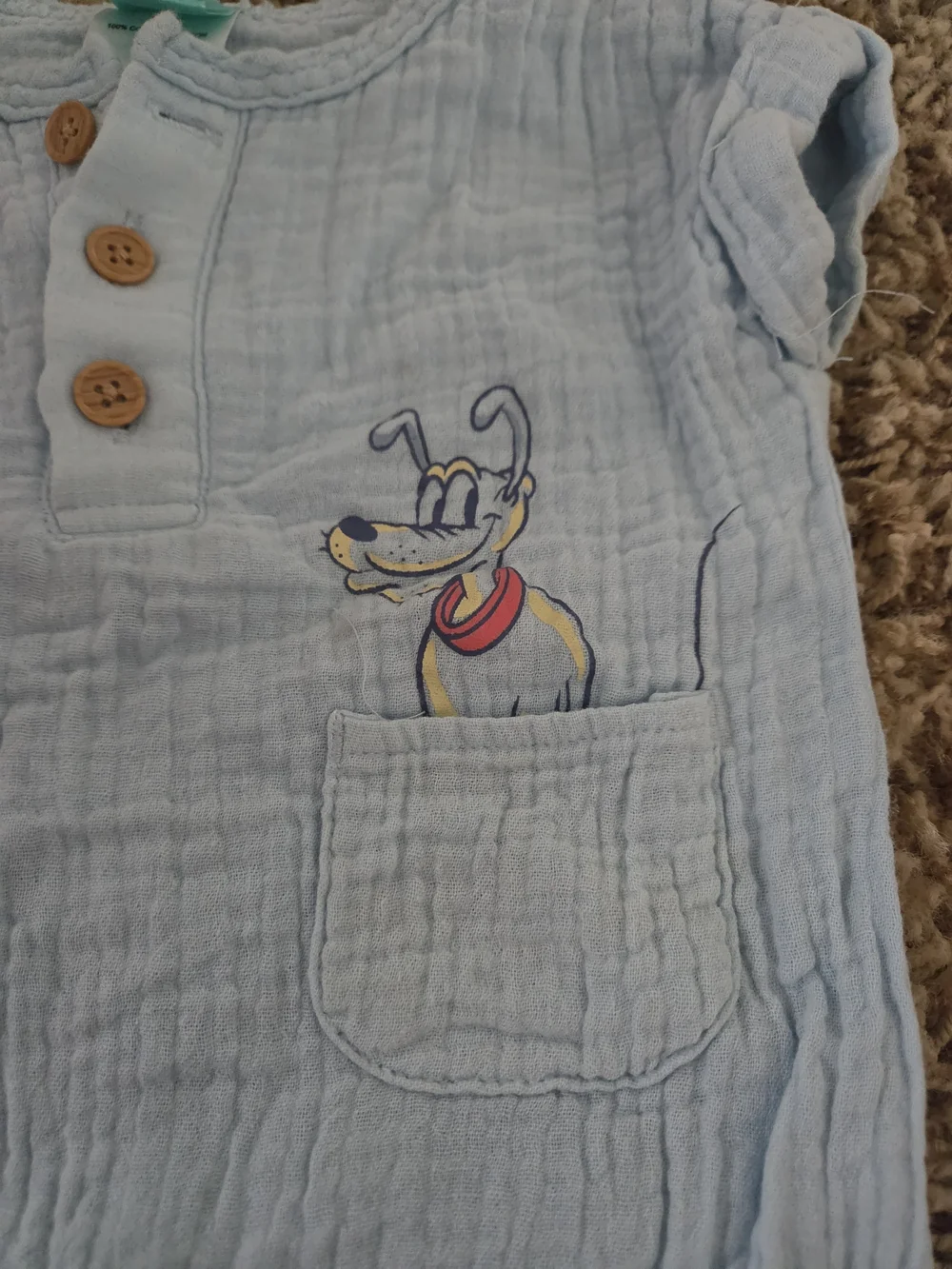 Disney size used pluto
