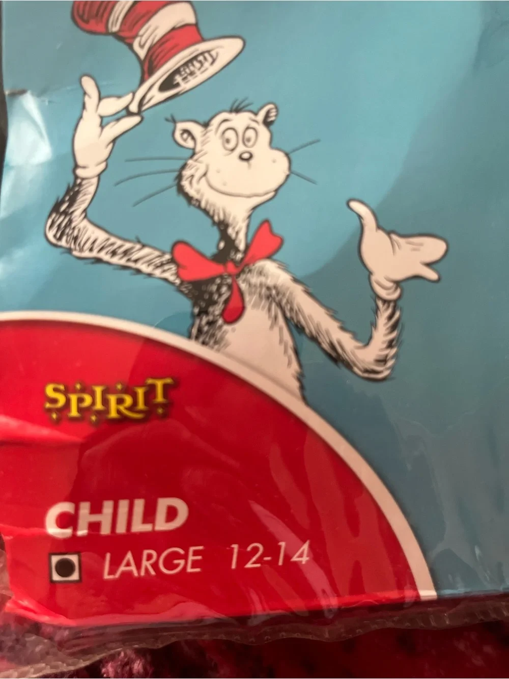 Spirit dress accent