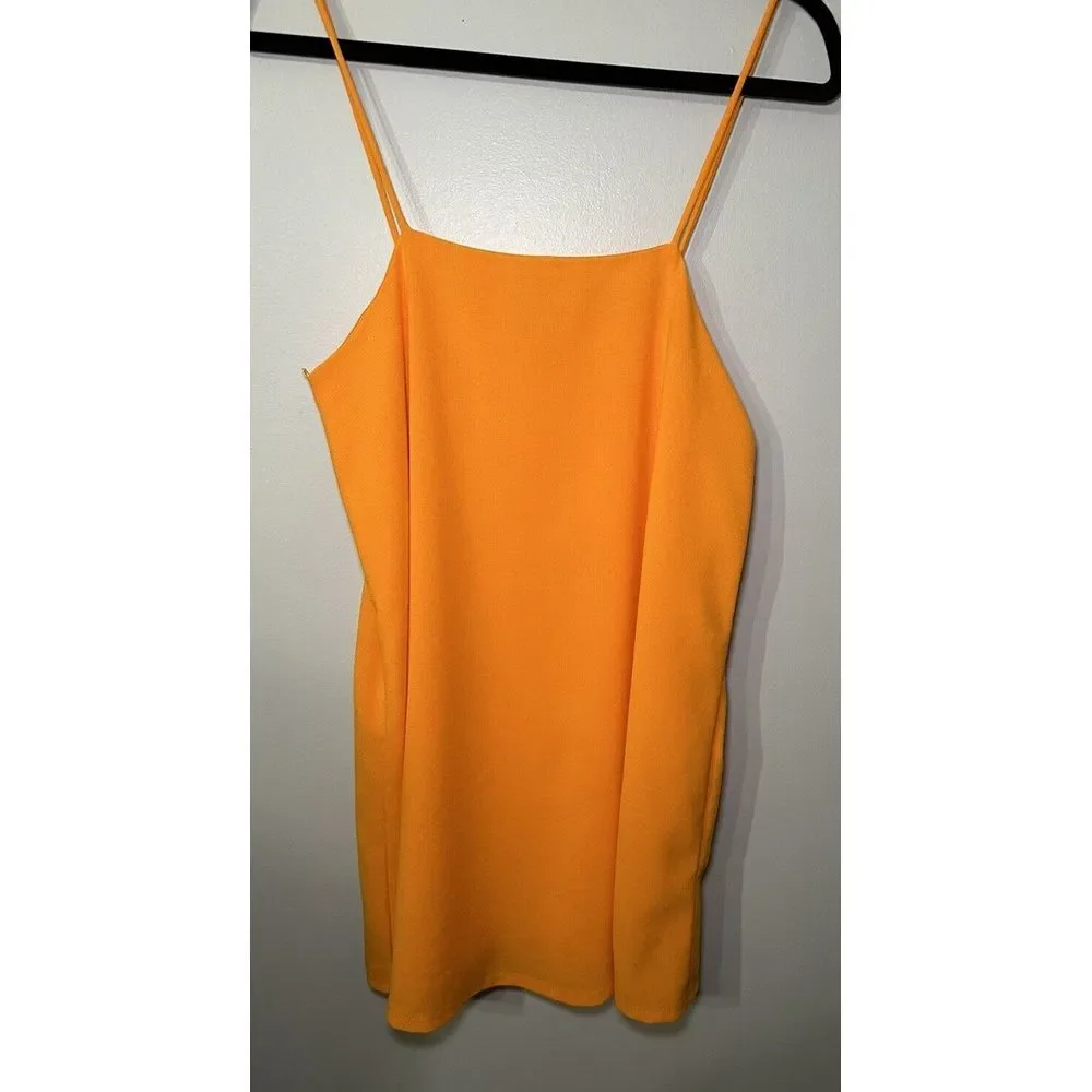 Zara this mini