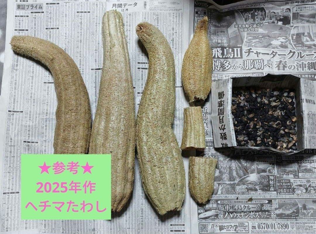 luffa seeds