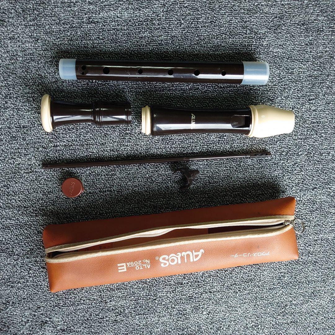 aulos recorder<br><br>there