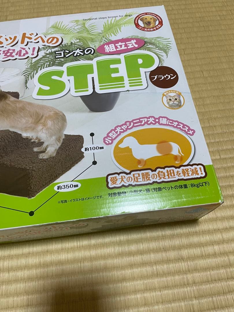 this gonta