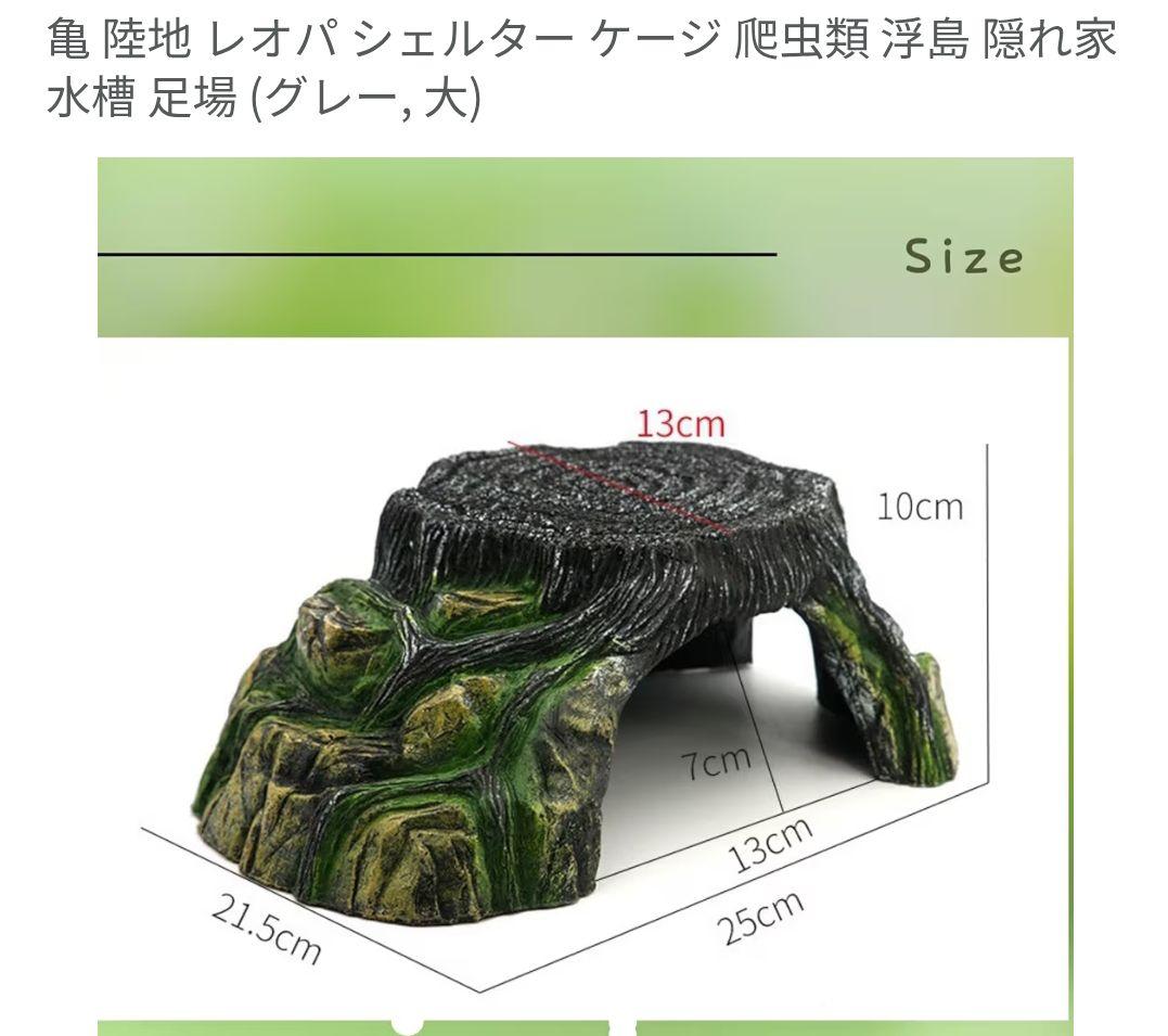 sit turtle it