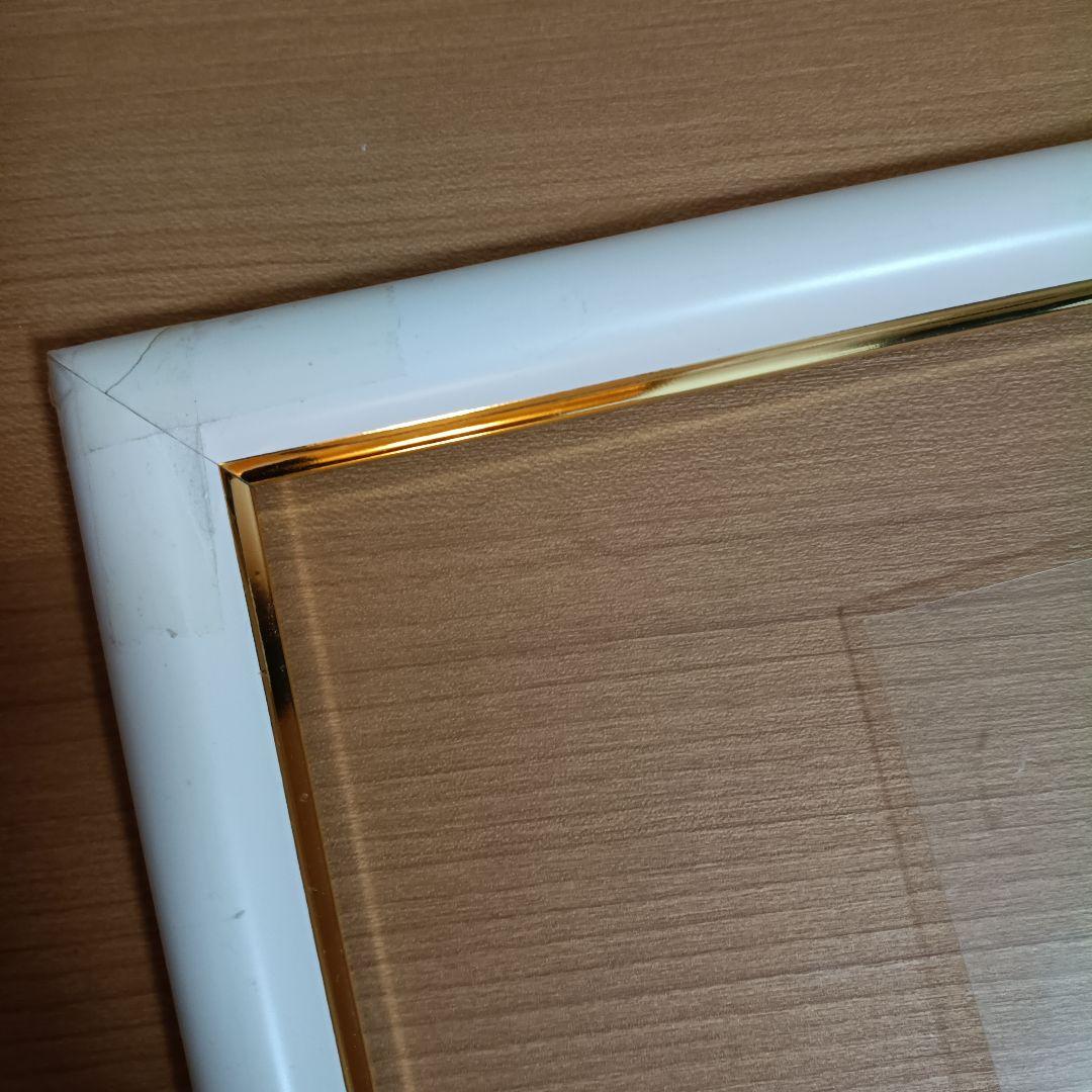 plastic picture